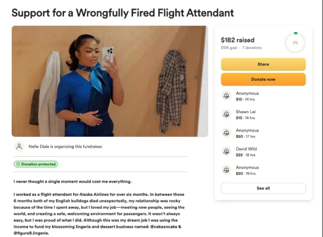 Diala launched a GoFundMe campaign to support herself while seeking a new flight attendant position. Photo: GoFundMe